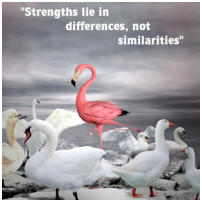 strengths lie in differences, not similarities