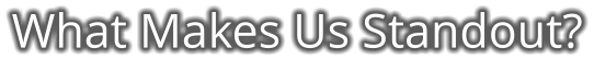 What Makes Us Standout?