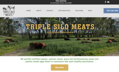 animles cat websites